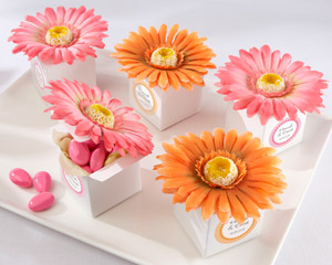 Daisy Delight - Gerbera Daisy Favor Box (Set of 24)