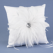 Feathered Flair Pillow