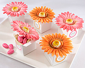 Daisy Delight - Gerbera Daisy Favor Box (Set of 24)